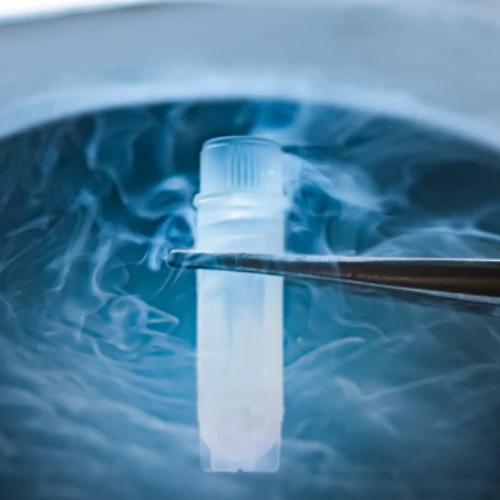 /media/product/2024/02/29022024-65dfe218a7fa8